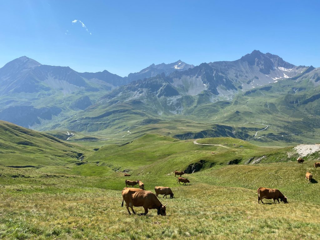 gr5 et gr52 : Vue sur le massif de la Vanoise et ses alpages